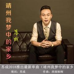 靖州我梦中的家乡