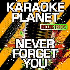 Never Forget You(Karaoke Version With Background Vocals)(Originally Performed By Mnek & Zara Larsson)