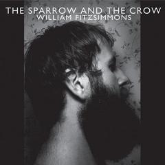 I Don’t Feel It Anymore (Song Of The Sparrow)