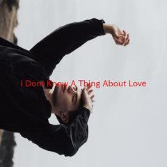 I Don’t Know A Thing About Love(Karaoke tribute version originally performed by Conway Twitty)