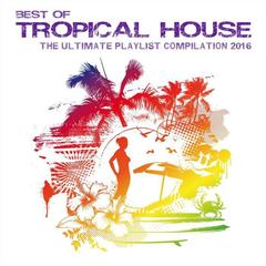 She’s Like the Wind (The Moodshapers Tropical Edit)(The Moodshapers Tropical Edit)