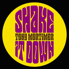 Shake It Down