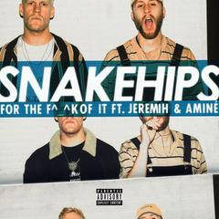 For the F^_^k Of It(Explicit)