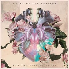 Can You Feel My Heart(Shikari Sound System Remix|Explicit)