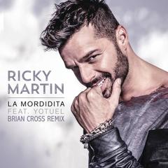 La Mordidita(Brian Cross Remix)