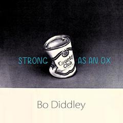 Story Of Bo Diddley