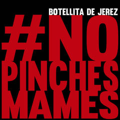 No Pinches Mames(Explicit)