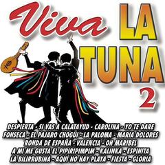 Debajo De Tu Ventana