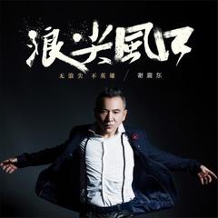 浪尖风口