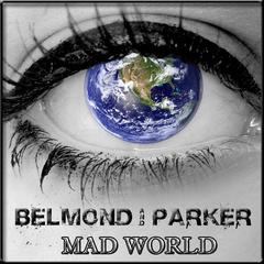 Mad World(Andrew Spencer Remix)