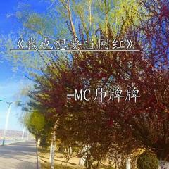 我也想要当网红