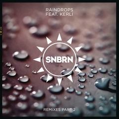 Raindrops(SCNDL Remix)