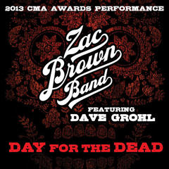 Day For the Dead(2013 CMA Awards Performance)