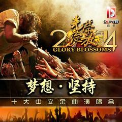 有没有那么一首歌 (Live)