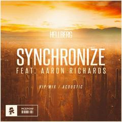 Synchronize(VIP Mix)