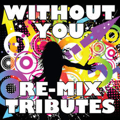 Without You(2 Step Re-Mix)