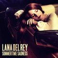 Summertime Sadness (Radio Mix) [Extended Version] - remix