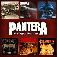 Cowboys from Hell(Explicit)