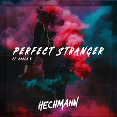 Perfect Stranger