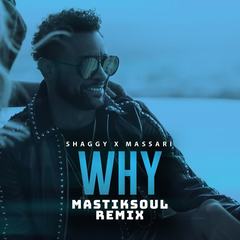 Why(Mastiksoul Remix)