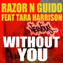 Without You (feat. Tara Harrison)(Main Mix Instrumental)