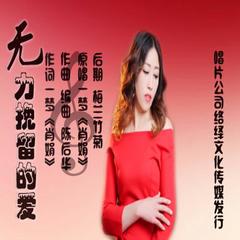 无力挽留的爱(电音版)