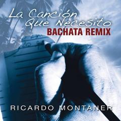 La Canción Que Necesito(Bachata Remix)