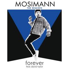 Forever(feat. David Taylor)(STV Remix)