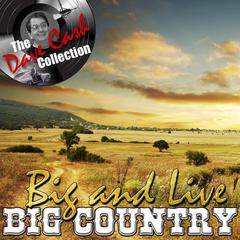 In A Big Country(Live)