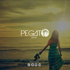 Summer Vibe(Pegato Remix)