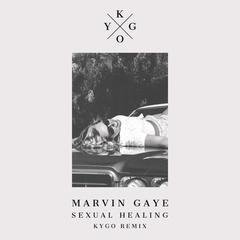 Sexual Healing(Kygo Remix)