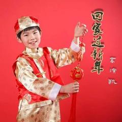 回家过新年