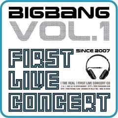 Fan Song (Vip Go Big Bang Go)