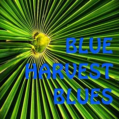 Blue Harvest Blues