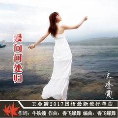 爱向何处归