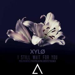 I Still Wait For You(Nolan van Lith x Felix Palmqvist Remix)