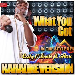 What You Got (In the Style of Colby O’donis Ft. Akon)(Karaoke Version)