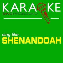 Somewhere in the Vicinity of the Heart (Karaoke Lead Vocal Demo)