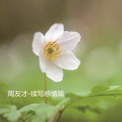 续写感情篇