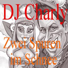 Zwei Spuren im Schnee(DJ Version)