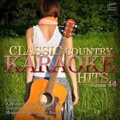 Tim Mcgraw (In the Style of Taylor Swift)(Karaoke Version)