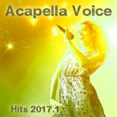 No Lie (Acapella Vocal Version BPM 115)(Acapella Vocal Version BPM 115)