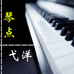 琴点都去哪儿了