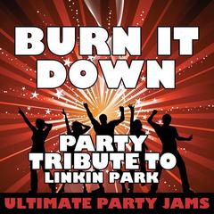 Burn It Down (Party Tribute to Linkin Park)