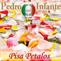 Pisa Petalos