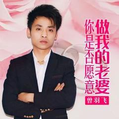 你是否愿意做我的老婆