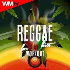 IN THE SUMMERTIME(Workout Remix)