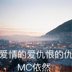 爱情的爱仇恨的仇