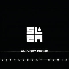 Ani vody proud(Littlebeat Remix)