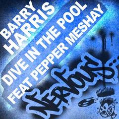 Dive In The Pool (feat. Pepper Meshay) (Patrick M Remix Instrumental)